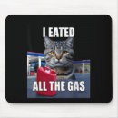 Search for keyboard cat posters Photography
