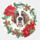Search for st bernard stickers Pet