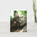 Search for cats meow birthday cards Kittens