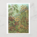 Search for other postcards Vintage