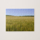 Search for corn field puzzles Landscape