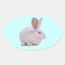 Search for kawaii bunny stickers Rabbit