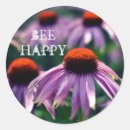 Search for echinacea stickers Garden
