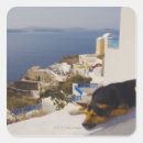 Search for sleeping dog stickers Horizontal