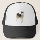 Search for siberian huskies hats Animal