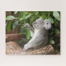 Search for koala bear puzzles Mammal