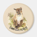 Search for fierce magnets Cat