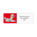 Search for red carpet return address labels Vintage