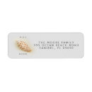 Search for shells return address labels Tropical