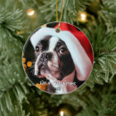Search for boston terrier christmas tree decorations Festive
