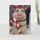 Search for piggy christmas cards Pig humour
