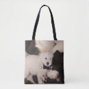 Search for dog napping bags Sleeping