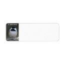 Search for chickadee bird return address labels Wildlife