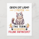 Search for funny lady postcards Cat