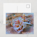 Search for tropical sea postcards Resort