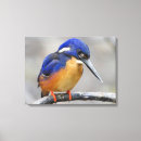 Search for kingfisher painting art Cute