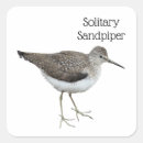 Search for sandpipers stickers Nature