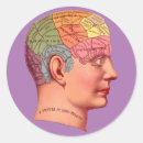 Search for phrenology stickers Vintage