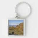 Search for stream key rings England