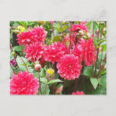 Search for deep postcards Flowers