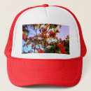 Search for tree branches hats Nature