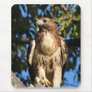 Search for tail mousepads Bird of prey