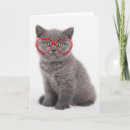 Search for eyeglasses cards Pet