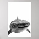 Search for whale shark posters Ocean