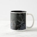 Search for bengal tiger mugs Wildlife