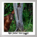 Search for hugger posters Forest