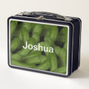 Search for pickle food storage Dill