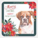 Search for boxer dog stickers Floral