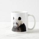 Search for giant bear mugs Bamboo