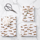 Search for ants on wrapping paper Pattern