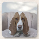 Search for basset hound barware Vertical