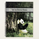Search for pandas photography Bamboo