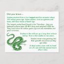 Search for snakes postcards Reptile