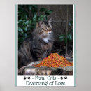 Search for spayed art Spay and neuter
