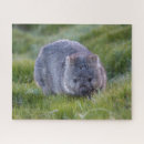 Search for grass puzzles Animal