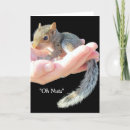 Search for squirrel get well cards Humour