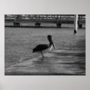 Search for the dock art White
