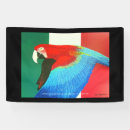 Search for mccaw Macaw