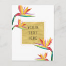 Search for white bird postcards Floral