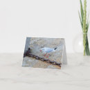 Search for cornwall cards Coast