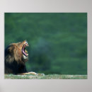 Search for individuality posters Animal