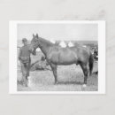 Search for horse postcards States