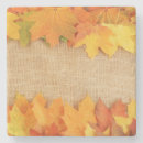 Search for fabric coasters Nature