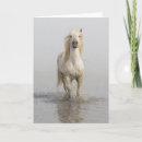 Search for mer cards Horse