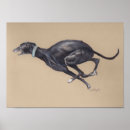 Search for greyhound art Dog