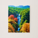 Search for chinese puzzles Nature